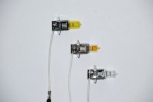 Bulbs.JPG Bulbs.JPG