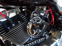 SAM_1142.jpg SAM_1142.jpg