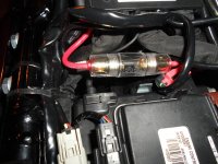 SAM_1165.jpg SAM_1165.jpg