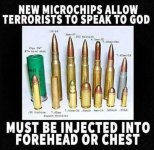 microchip.jpg