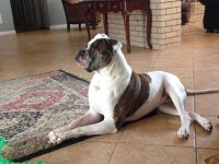 #doorkeeper.jpg #doorkeeper.jpg