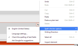 spell checker image.png