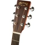 DV019_Jpg_Regular_514756_headstock.jpg