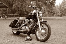 Dyna at Buck Ridge Sharpened Sepia.jpg
