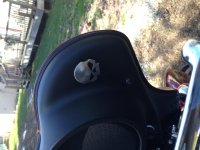 skull medallion installed.jpg