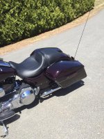 Bike saddlebags.jpg