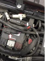 harness 1.jpg
