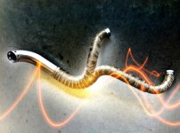 169504168.jpg 169504168.jpg