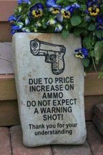 Warning Shot.jpg