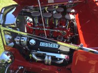 IMG_2255.jpg IMG_2255.jpg