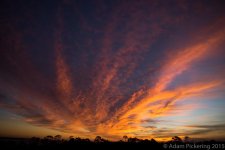 untitled-197-Edit.jpg
