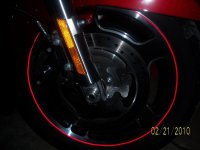 NIghttime Close up.jpg