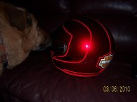 back angle with Jake.jpg