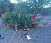 Naughty or Nice.jpg Naughty or Nice.jpg