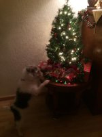 IMG_1776.jpg IMG_1776.jpg