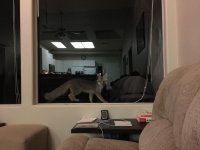 IMG_2402.jpg IMG_2402.jpg