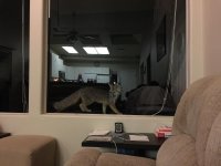 IMG_2403.jpg IMG_2403.jpg