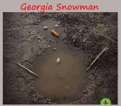 Georgia Snowman2.jpg