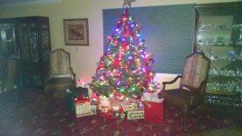 IMG_20151224_051529758.jpg IMG_20151224_051529758.jpg