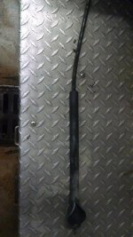 IMG_20151016_125808553.jpg IMG_20151016_125808553.jpg