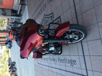 IMG_5935.jpg