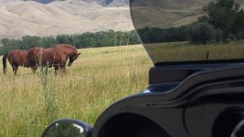 12 2016 Sturgis to Montana.jpg