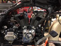 IMG_0909.jpeg IMG_0909.jpeg