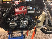 IMG_0938.jpeg IMG_0938.jpeg