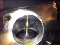 IMG_0928.jpeg IMG_0928.jpeg