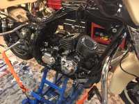 IMG_0939.jpeg IMG_0939.jpeg