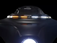 LEDU.png